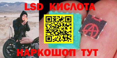 тгк Гай