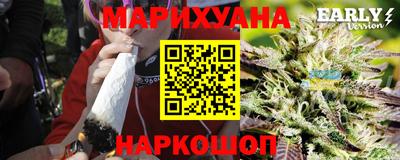 тгк Гай