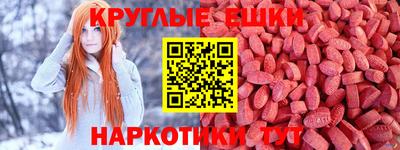 тгк Гай