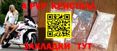 тгк Гай